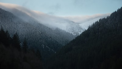 雾季山地景观摄影